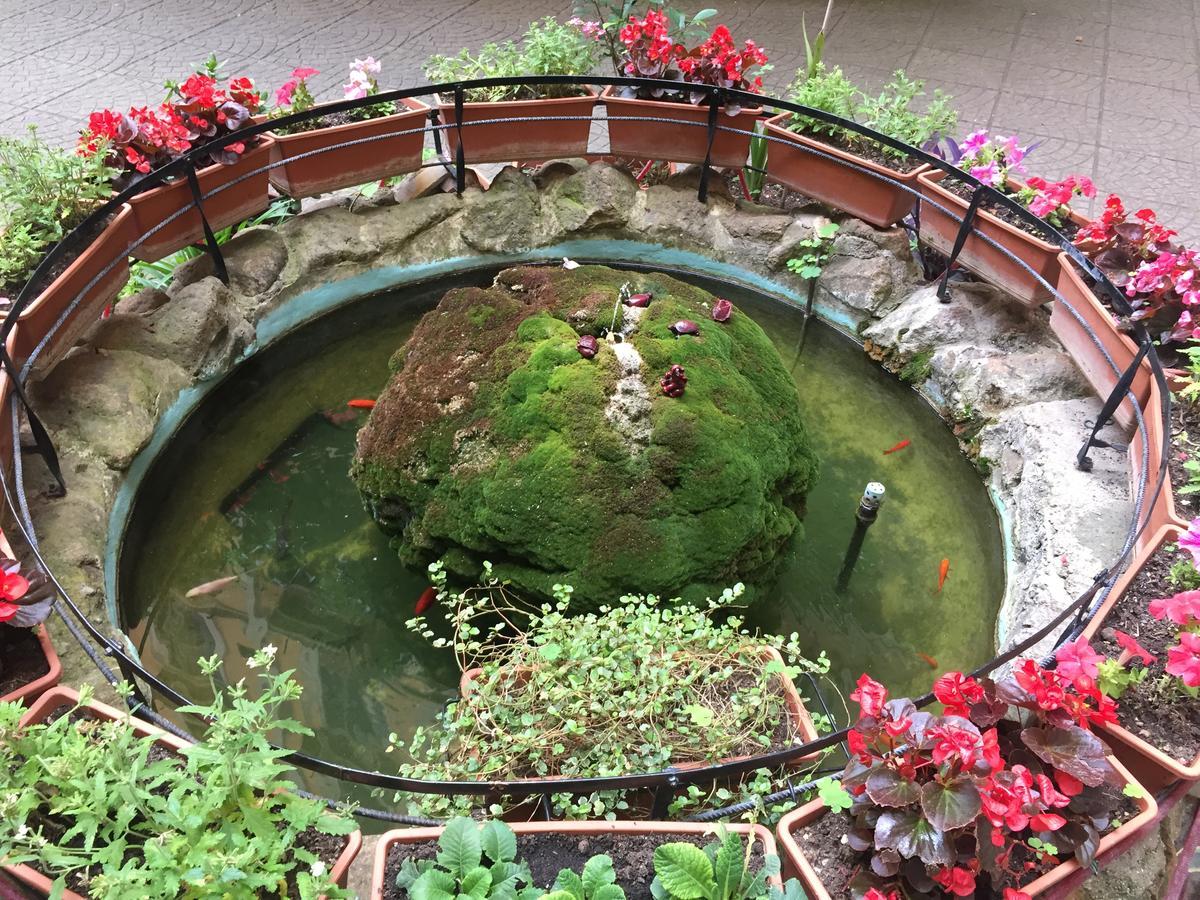 Bed and Breakfast Blue Whale Rzym Zewnętrze zdjęcie